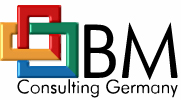 Logo Birkman BM Consulting Germany